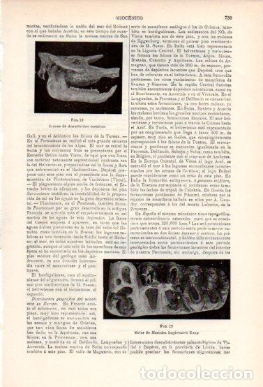 Collectionnisme Papier divers: LAMINA ESPASA V54960: Craneo y molar del miocenico - Varios