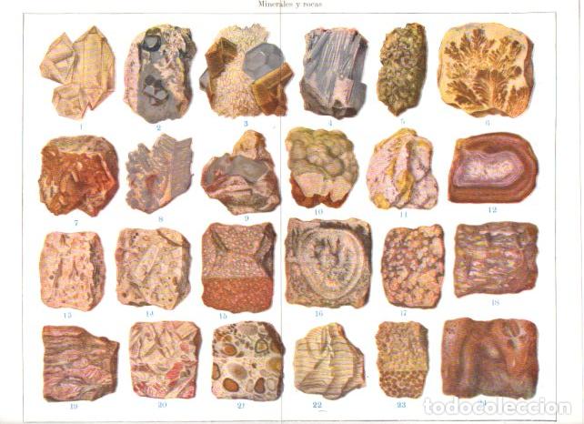 Sammelleidenschaft Andere Papierartikel: LAMINA ESPASA V55017: Minerales y rocas - Varios