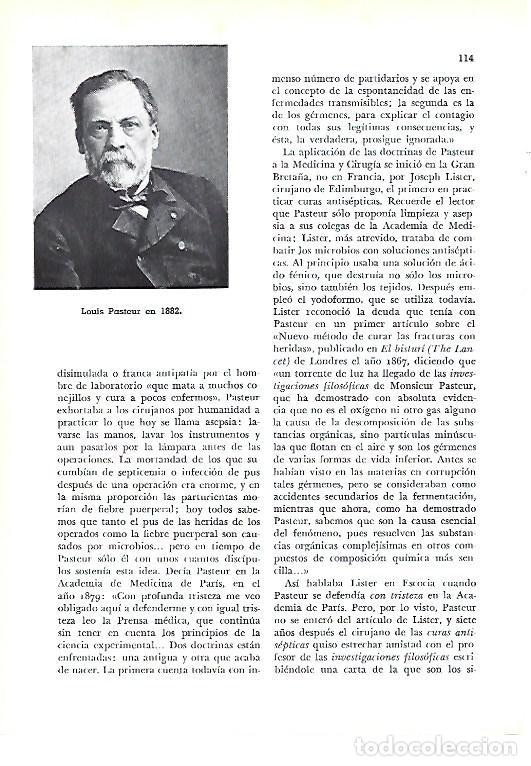 Paper Collecting Others: LAMINA 41255: Louis Pasteur en 1882 - Pijoan