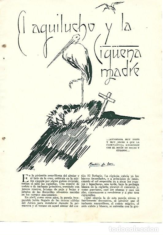 Otros art&iacute;culos de coleccionismo en papel: LAMINA 41401: Dibujo de Martin de Leon - VVAA