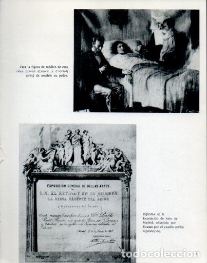 Otros art&iacute;culos de coleccionismo en papel: LAMINA V53877: Picasso. Ciencia y Caridad y diploma por este cuadro - Lothar-Gunther Buchheim