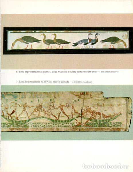 Altri oggetti di carta: LAMINA V53980: Friso de la Mastaba de Itet y Pescadores en el Nilo relieve - Lambelet/Riesterer