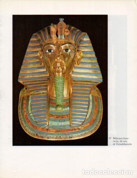 Altri oggetti di carta: LAMINA V53990: Mascara funeraria de Tutankhamon - Lambelet/Riesterer