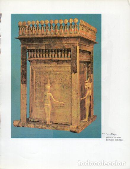 Altri oggetti di carta: LAMINA V53992: Sarcofago de oro para los canopes - Lambelet/Riesterer