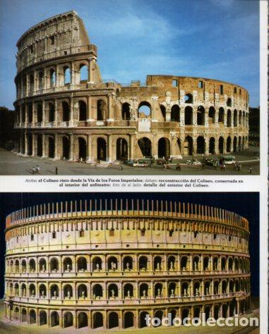 Outros artigos de papel: LAMINA V54218: Vista del Coliseo, Roma - Eugenio Pucci