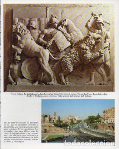 Outros artigos de papel: LAMINA V54220: Relieve de gladiadores de la Villa Albani y Foros Imperiales, Roma - Eugenio Pucci