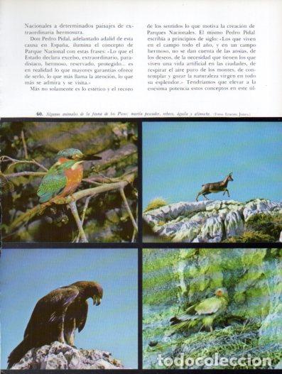 Collectionnisme Papier divers: LAMINA V54310: Fauna de los Picos de Europa - Emiliano de la Huerga