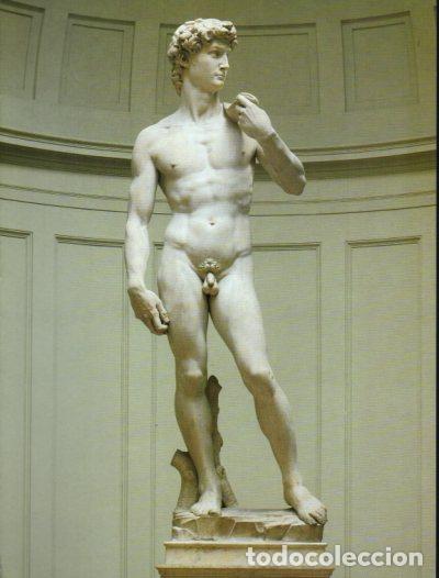 Collectionnisme Papier divers: LAMINA V54350: El David por Miguel Angel