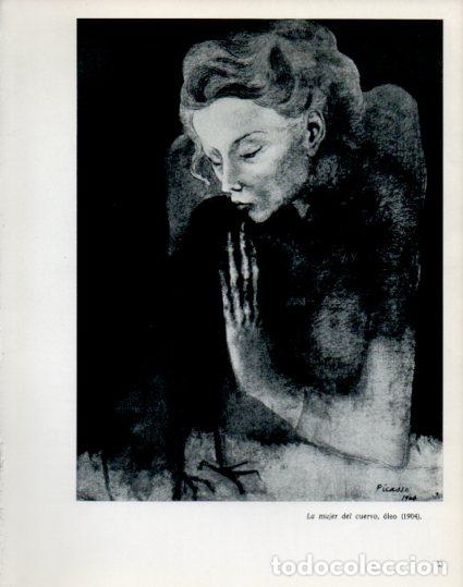 Otros art&iacute;culos de coleccionismo en papel: LAMINA V53869: Picasso. La mujer del cuervo - Lothar-Gunther Buchheim