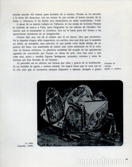Otros art&iacute;culos de coleccionismo en papel: LAMINA V53899: Picasso. La rana - Lothar-Gunther Buchheim