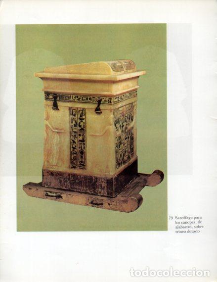 Sammelleidenschaft Andere Papierartikel: LAMINA V53996: Sarcofago para los canopes de alabastro sobre trineo dorado - Lambelet/Riesterer