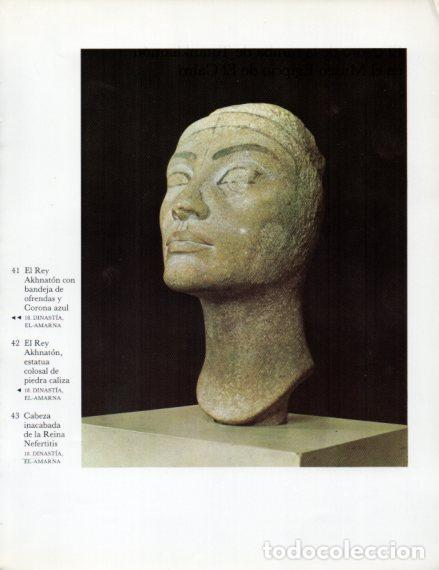 Sammelleidenschaft Andere Papierartikel: LAMINA V53989: Cabeza de la Reina Nefertitis - Lambelet/Riesterer