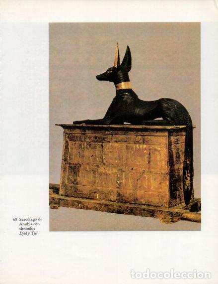 Collectionnisme Papier divers: LAMINA V53993: Sarcofago de Anubis con simbolos Djed y Tjet - Lambelet/Riesterer