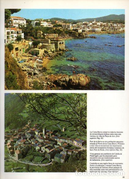 Altri oggetti di carta: LAMINA V55083: Calella de Palafrugell y Setcasas, Girona - Nestor Lujan