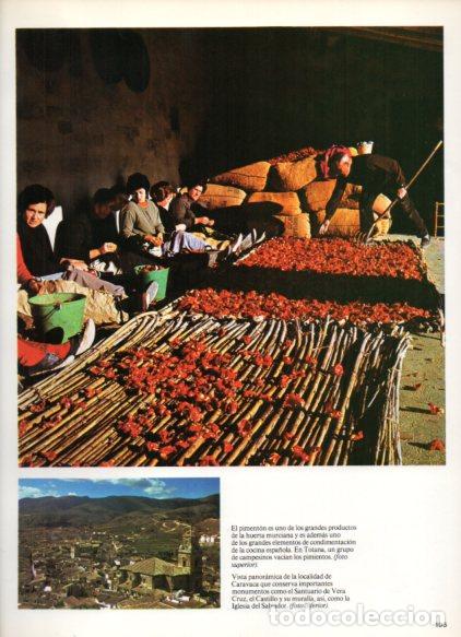 Altri oggetti di carta: LAMINA V55093: Campesinas en Totana y vista de Caravaca - Nestor Lujan
