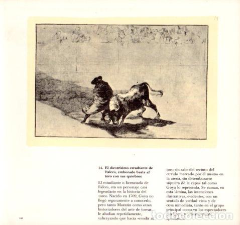 Paper Collecting Others: LAMINA V55158: GOYA Tauromaquia. El diestrisimo estudiante Falces - Alfonso E. Perez-Sanchez