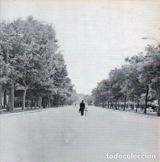 Paper Collecting Others: LAMINA V55186: Fin de la primera serie o noticia de que don Camilo se nos va. Enrique Palazuelo - Ca