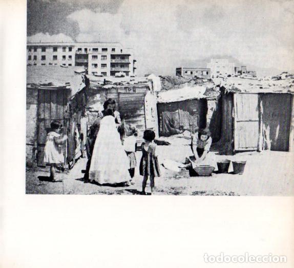 Paper Collecting Others: LAMINA V55218: Los nabos de adviento. Enrique Palazuelo - Camilo Jose Cela