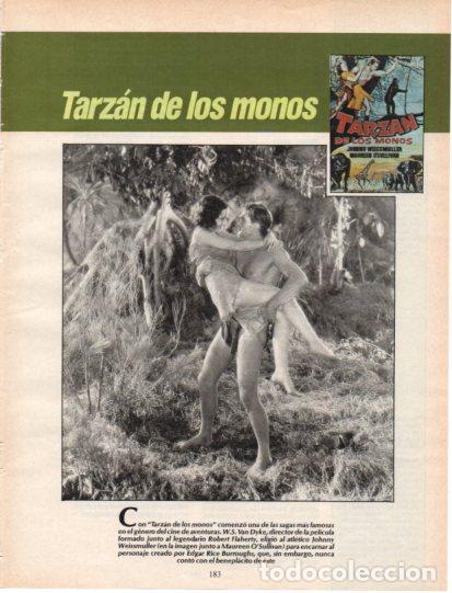 Collectionnisme Papier divers: LAMINA V54621: Tarzan de los monos con Johnny Weissmuller