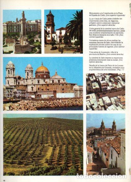 Otros art&iacute;culos de coleccionismo en papel: LAMINA V55052: Plaza de Espa&ntilde;a y catedral nueva de Cadiz - Nestor Lujan