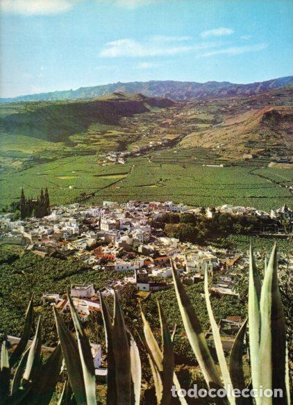 Otros art&iacute;culos de coleccionismo en papel: LAMINA V55067: Vista de Arucas, Canarias - Nestor Lujan