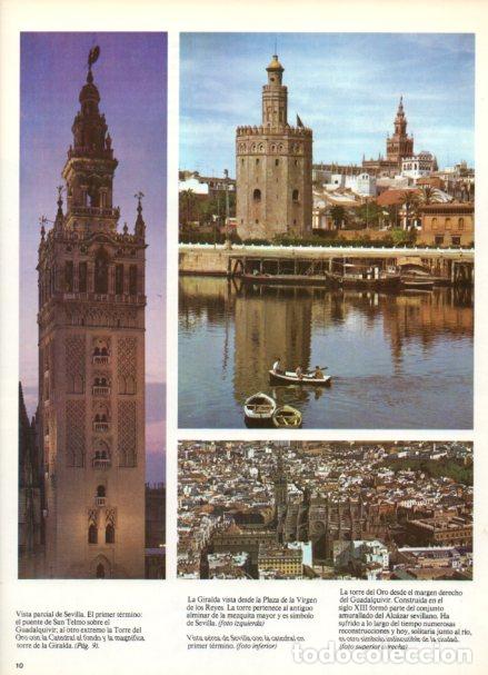 Sammelleidenschaft Andere Papierartikel: LAMINA V55049: La Giralda, Torre del Oro y Catedral de Sevilla - Nestor Lujan