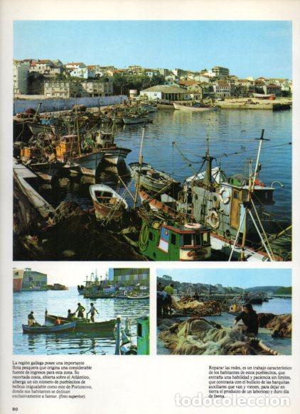Sammelleidenschaft Andere Papierartikel: LAMINA V55087: Portonovo en Galicia - Nestor Lujan