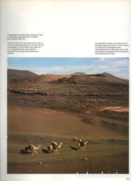 Sammelleidenschaft Andere Papierartikel: LAMINA V55069: Laderas de la Monta&ntilde;a del Fuego en Lanzarota - Nestor Lujan