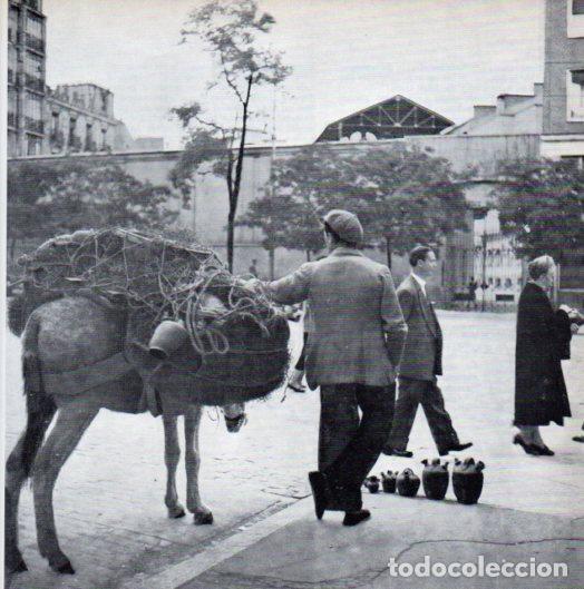 Otros art&iacute;culos de coleccionismo en papel: LAMINA V55190: Espanich tipical botijo. Enrique Palazuelo - Camilo Jose Cela