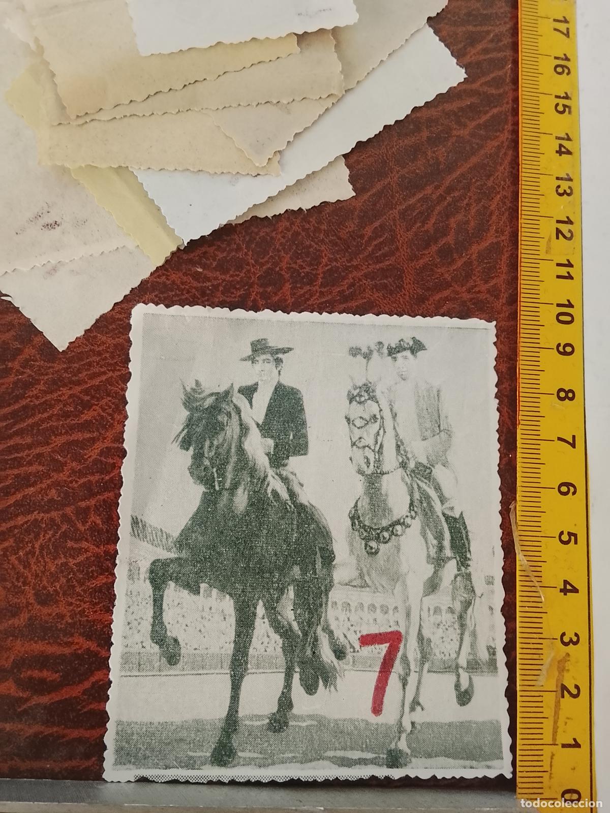 Otros art&iacute;culos de coleccionismo en papel: IMAGEN TORERO TORO TAUROMAQUIA PLAZAS DE TOROS . A&Ntilde;OS 70S