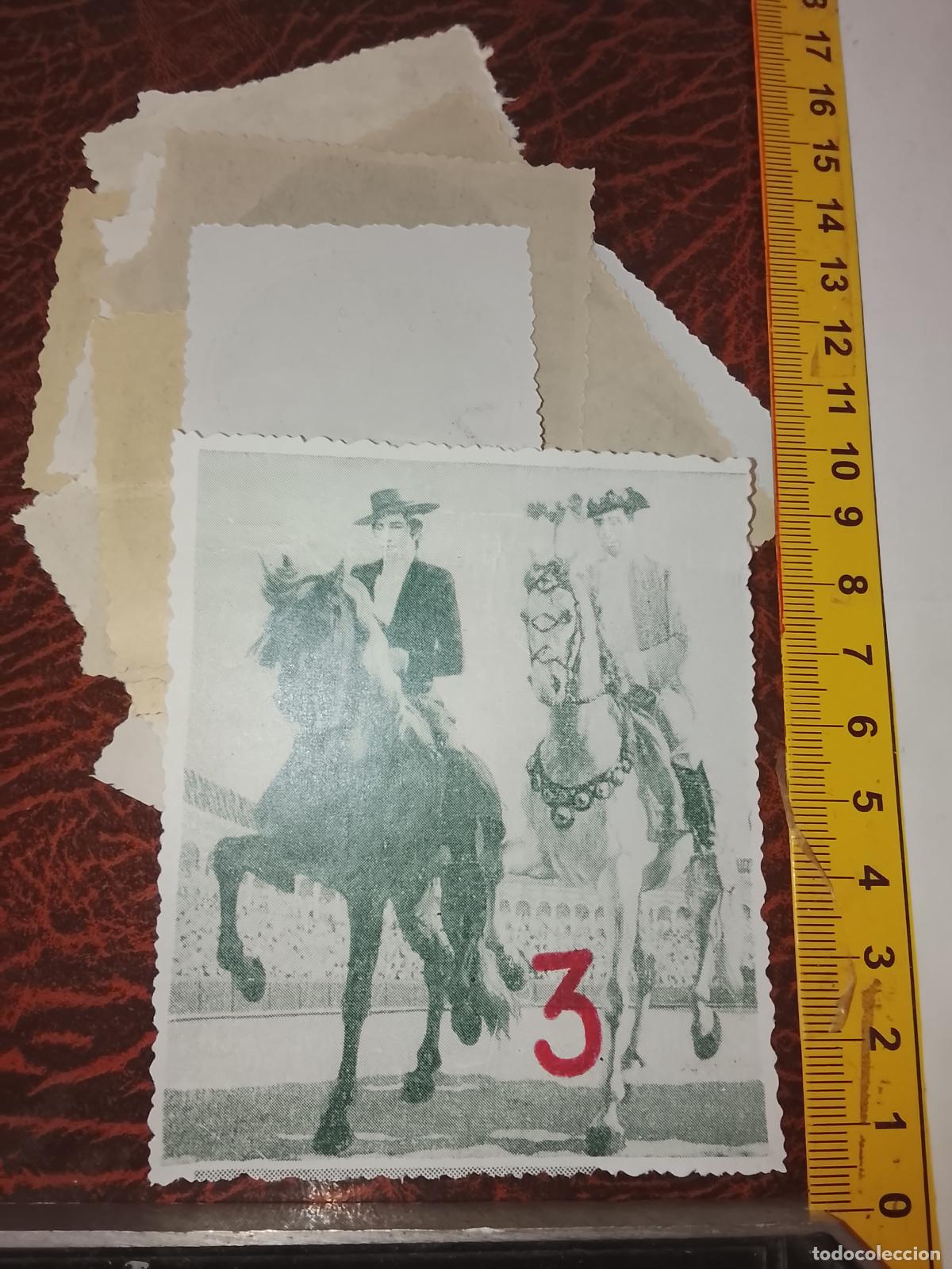 Otros art&iacute;culos de coleccionismo en papel: IMAGEN TORERO TORO TAUROMAQUIA PLAZAS DE TOROS . A&Ntilde;OS 70S