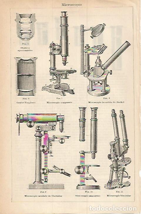Outros artigos de papel: LAMINA ESPASA 17925: Tipos de microscopio - Varios