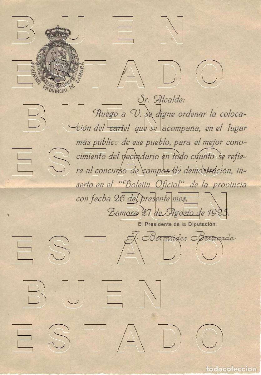 Otros art&iacute;culos de coleccionismo en papel: SAN JUSTO DE SANABRIA ZAMORA DIPUTACION 1925 RECLUTAMIENTO FRANQUICIA CARTA Y SOBRE M50