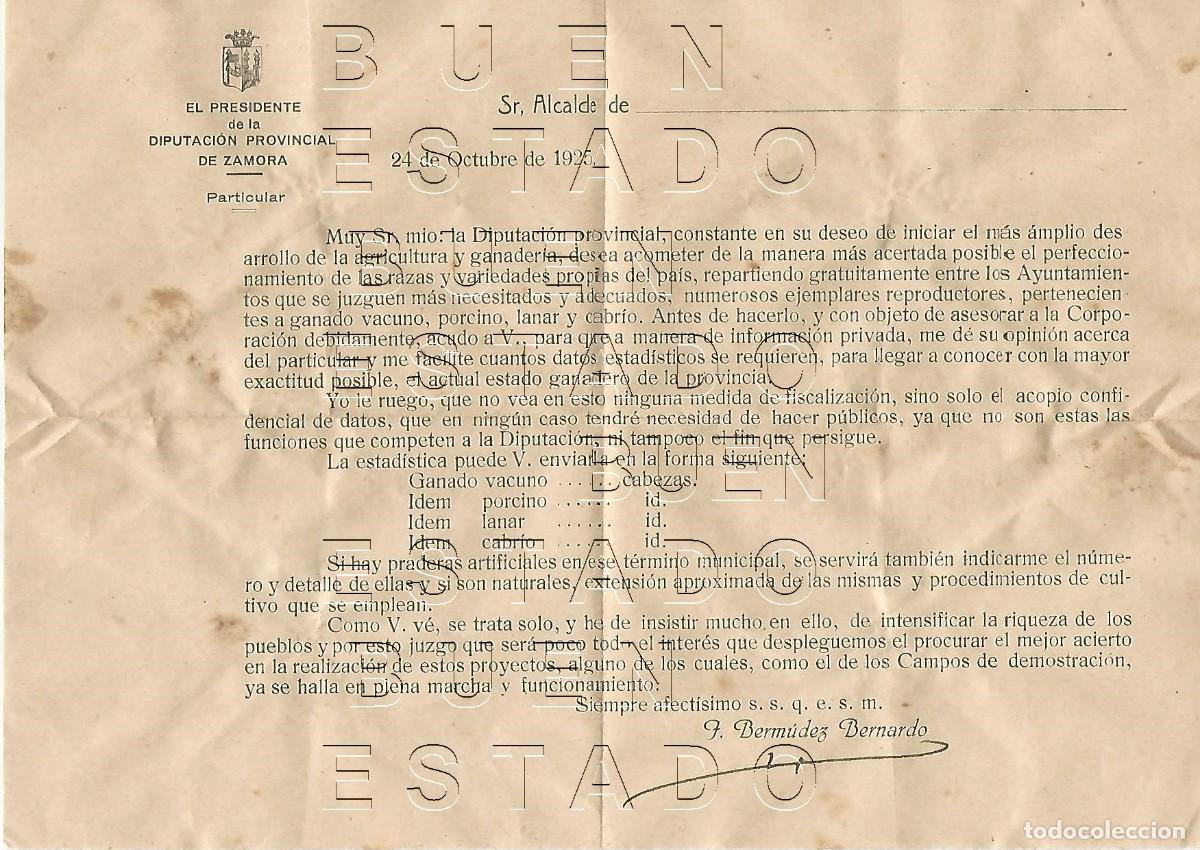 Otros art&iacute;culos de coleccionismo en papel: ZAMORA DIPUTACION 1925 RAZAS DE GANADO MEJORA CARTA M50
