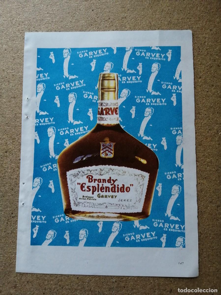 Otros art&iacute;culos de coleccionismo en papel: ANUNCIO. BRANDY ESPLENDIDO GARVEY