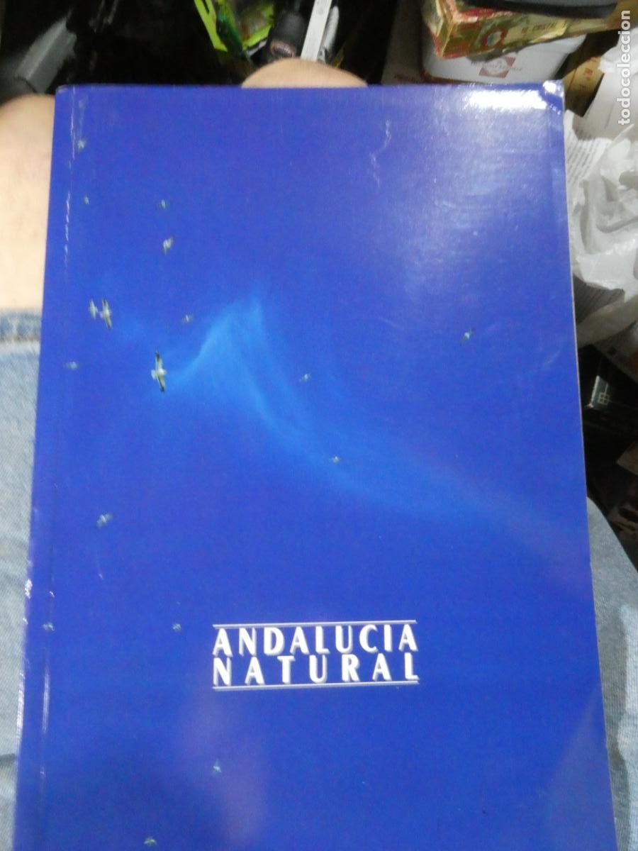 Otros art&iacute;culos de coleccionismo en papel: ANDALUCIA NATURAL junta de andalucia