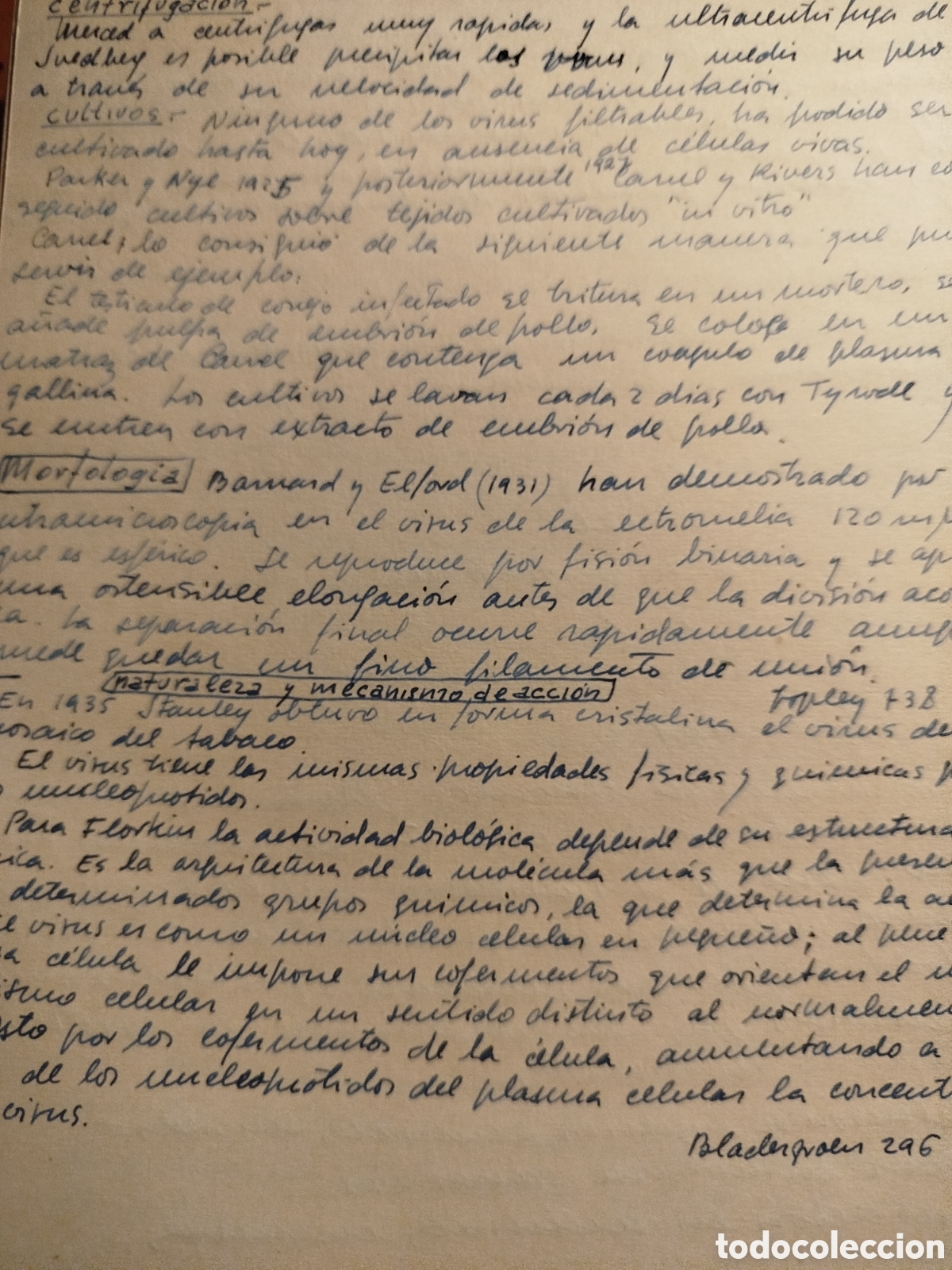 Otros art&iacute;culos de coleccionismo en papel: Documentos enfermedades a&ntilde;os 50 doctor