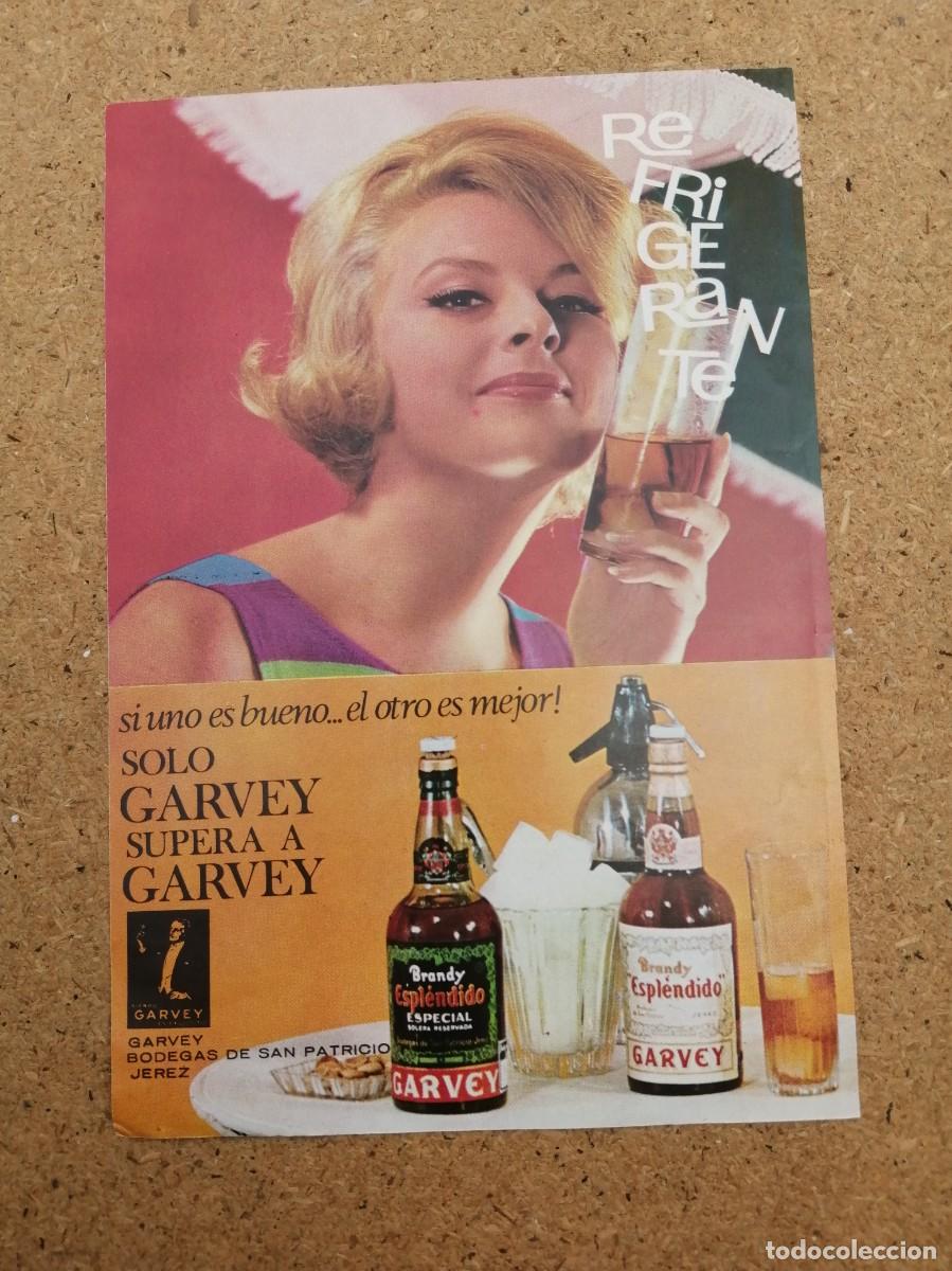 Otros art&iacute;culos de coleccionismo en papel: ANUNCIO. ESPLENDIDO GARVEY