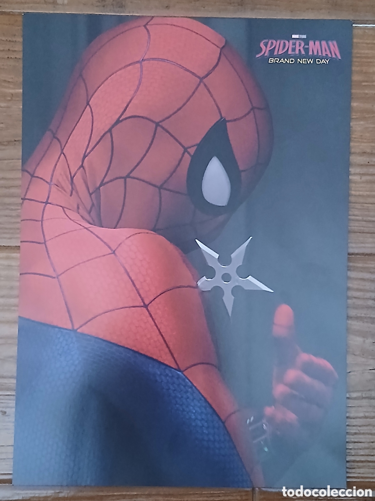 Altri oggetti di carta: P&oacute;sters Spider-Man, Brand New Day (Marvel 2.026)