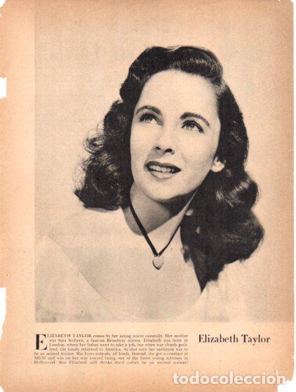 Collectionnisme Papier divers: LAMINA V55304: Elisabeth Taylor