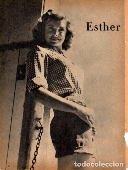 Altri oggetti di carta: LAMINA V55344: Esther Williams