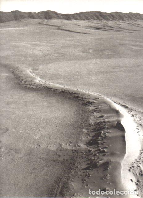 Paper Collecting Others: LAMINA V55475: Balthasar Burkhard, dunas en el desierto de Namibia