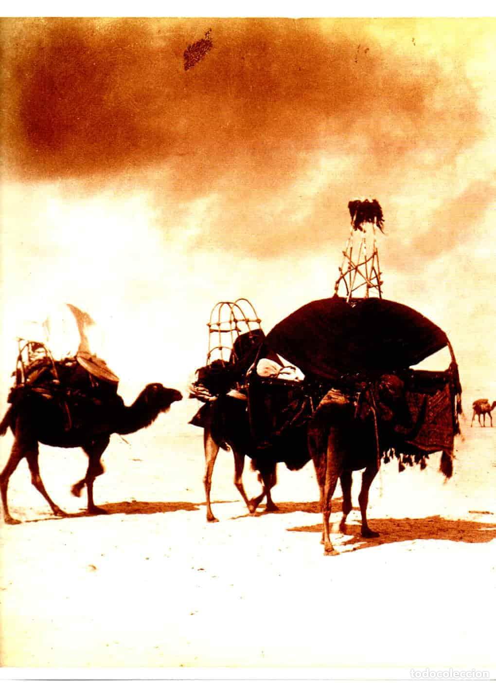 Paper Collecting Others: LAMINA V55499: Caravana de Bassour Palanquin de esposas por Emile Frechom