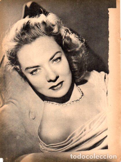 Altri oggetti di carta: LAMINA V55338: Audrey Totter