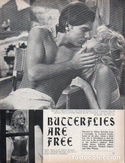 Outros artigos de papel: LAMINA V55382: Goldie Hawn and Edward Albert in Butterflies are free