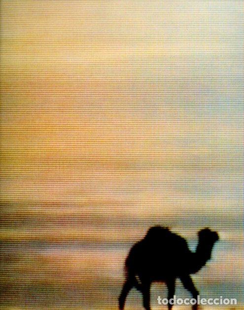 Collectionnisme Papier divers: LAMINA V55472: Chott el Djerid, camello por Bill Viola