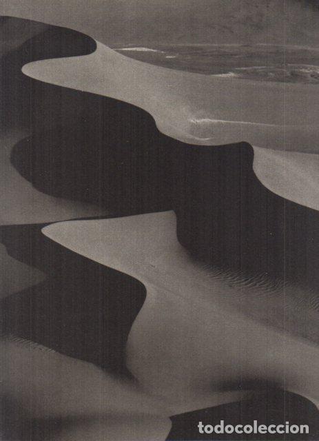 Collectionnisme Papier divers: LAMINA V55473: Balthasar Burkhard, dunas en el desierto de Namibia