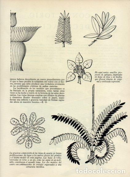 Collectionnisme Papier divers: LAMINA V55546: Dise&ntilde;os botanicos para apliques