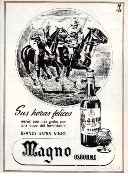 Otros art&iacute;culos de coleccionismo en papel: LAMINA V55646: Publicidad Brandy Magno