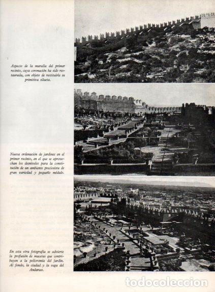 Collectionnisme Papier divers: LAMINA V55703: Jardines de La Alcazaba de Almeria